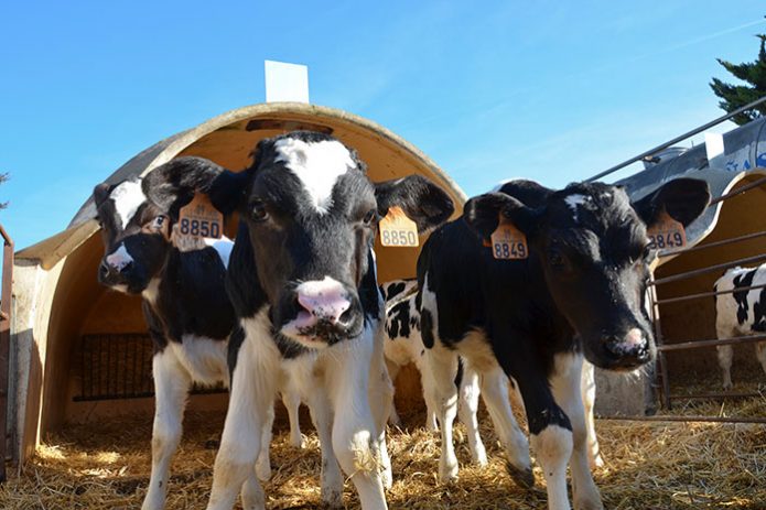 news_06_04_3030 Noticias