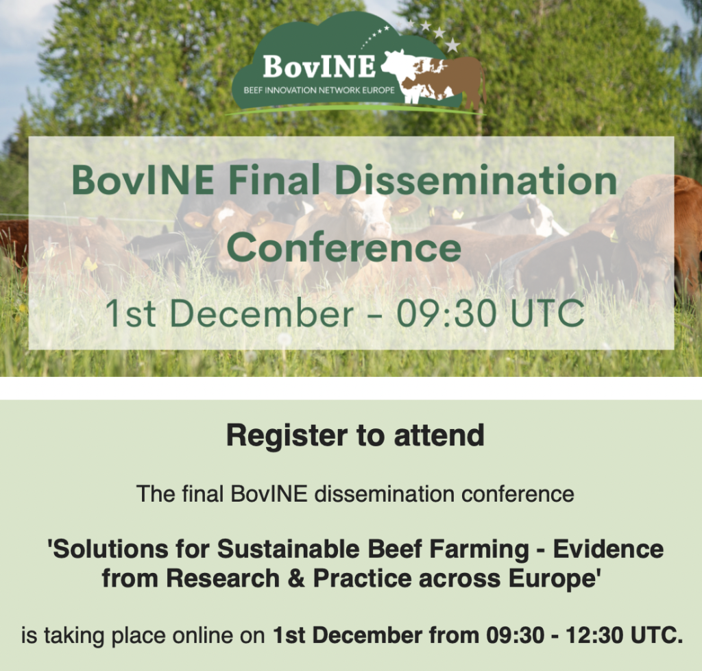 A última conferência online de divulgação BovINE: Soluções para uma pecuária sustentável de carne bovina - evidências de pesquisa e prática em toda a Europa, terá lugar a 1 de dezembro das 09:30 às 12:30 UTC.