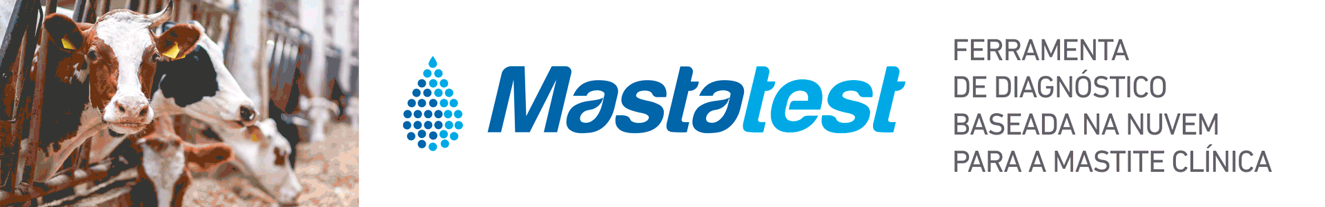 banner mastatest