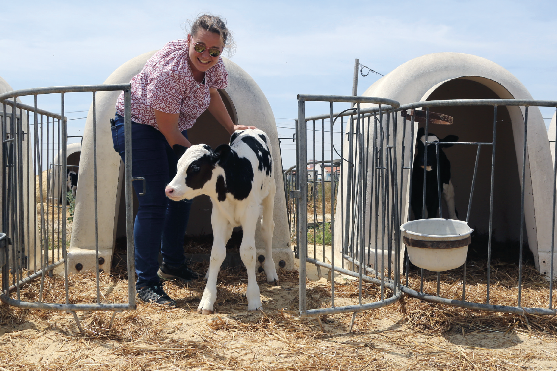 Screenshot 2024-07-09 at 11.05.47