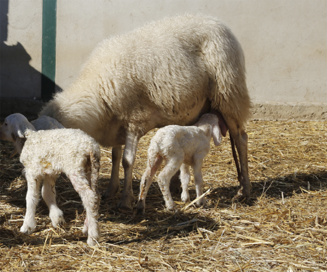 Screenshot 2026-01-28 at 09.56.59