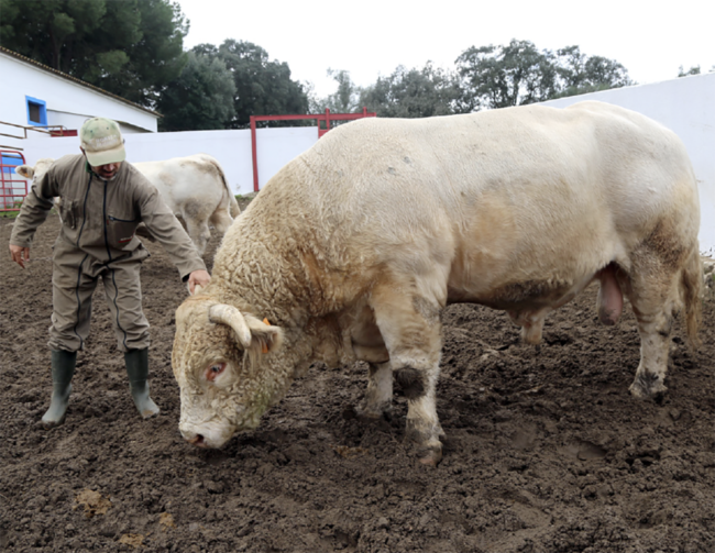 Screenshot 2026-01-28 at 10.21.28