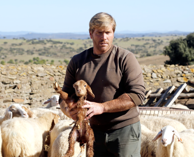 Screenshot 2026-01-28 at 11.02.48