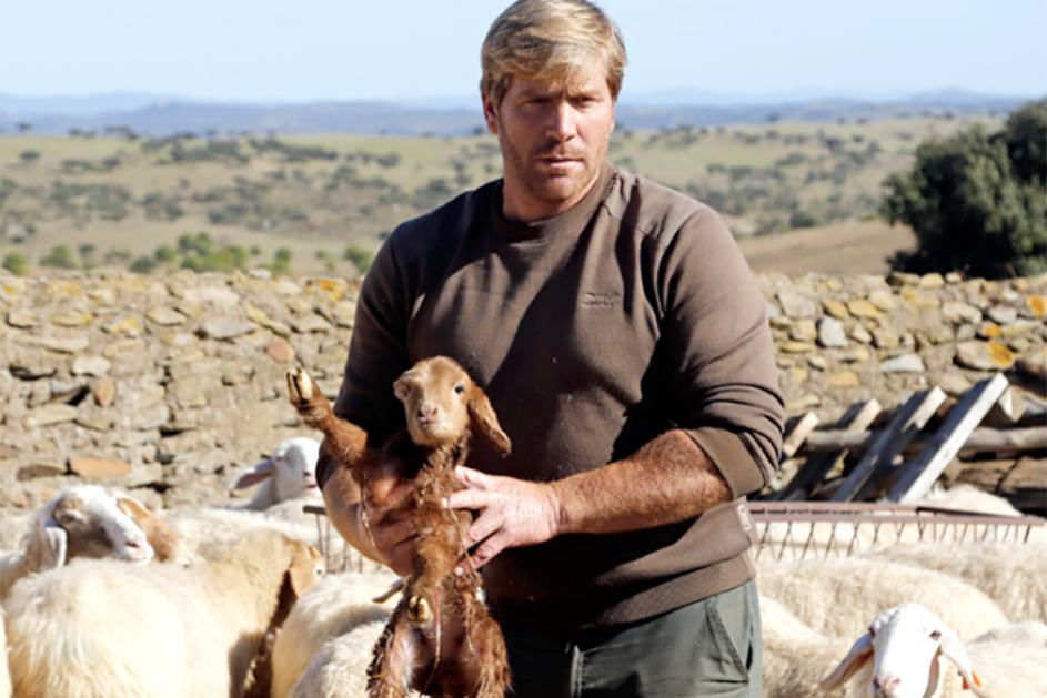 Screenshot 2026-01-28 at 11.02.48